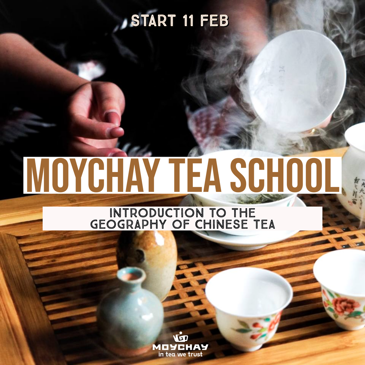 Start of Moychay tea school on 11th February! Tea Culture Club & Tea