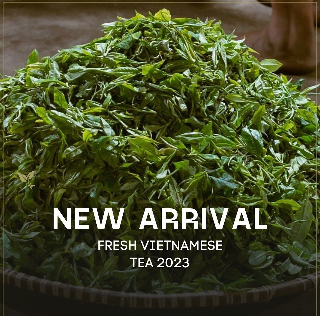 Vietnamese teas Tea Culture Club & Tea House Moychay.nl