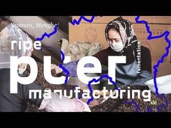 Menghai. Ripe Puer Production. Wo Dui (Wet Stacking)