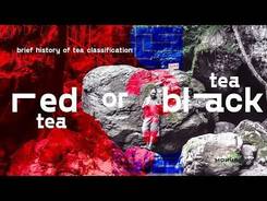 Red tea or black tea? A brief history of tea classification