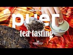 Mengku Puer tea tasting. Yunnan, Lincang