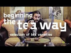 Beginning the tea way. Selection of tea varieties