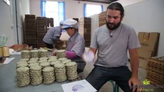 Moychay.com Worldwide #TeaDelivery Company