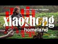 Tong Mu Guan, Fujian province, Wuyishan.