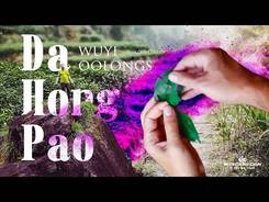 Da Hong Pao and Wuyi rock tea