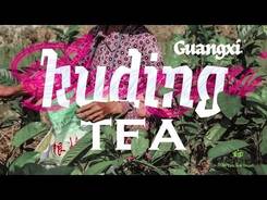 Kuding. Travel to Guangxi Zhuang, China