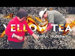 Yellow Tea of the Huoshan Mountains. Anhui Province.