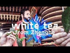 White tea from Zhenghe Fujian BaiCha