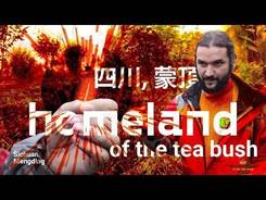 Homeland of the tea bush Sichuan Mengding