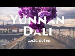 Dali, Yunnan. Field notes. Vol 20