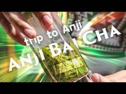 Journey to the homeland of Anji Bai Cha.