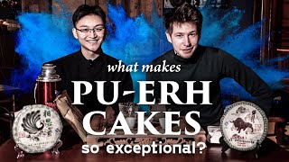 The Bitcoins of Tea - What makes Pu-erh cakes so exceptional? Weichen and Dima