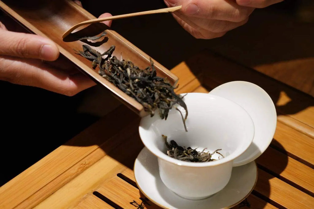 How to Store Loose Leaf Tea to Preserve Freshness and Flavor