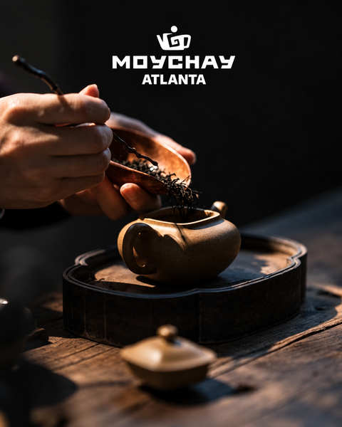Moychay Is Now in the USA 🇺🇸