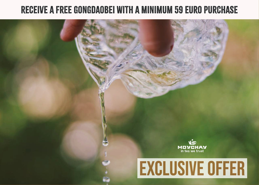 Exclusive Offer: Receive a FREE Gongdaobei with a Minimum 59 Euro Purchase