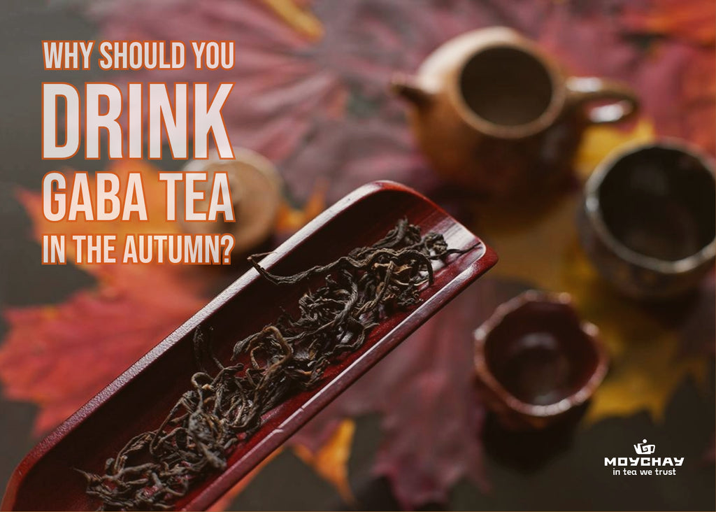 What is GABA tea and why should you drink it in the autumn?