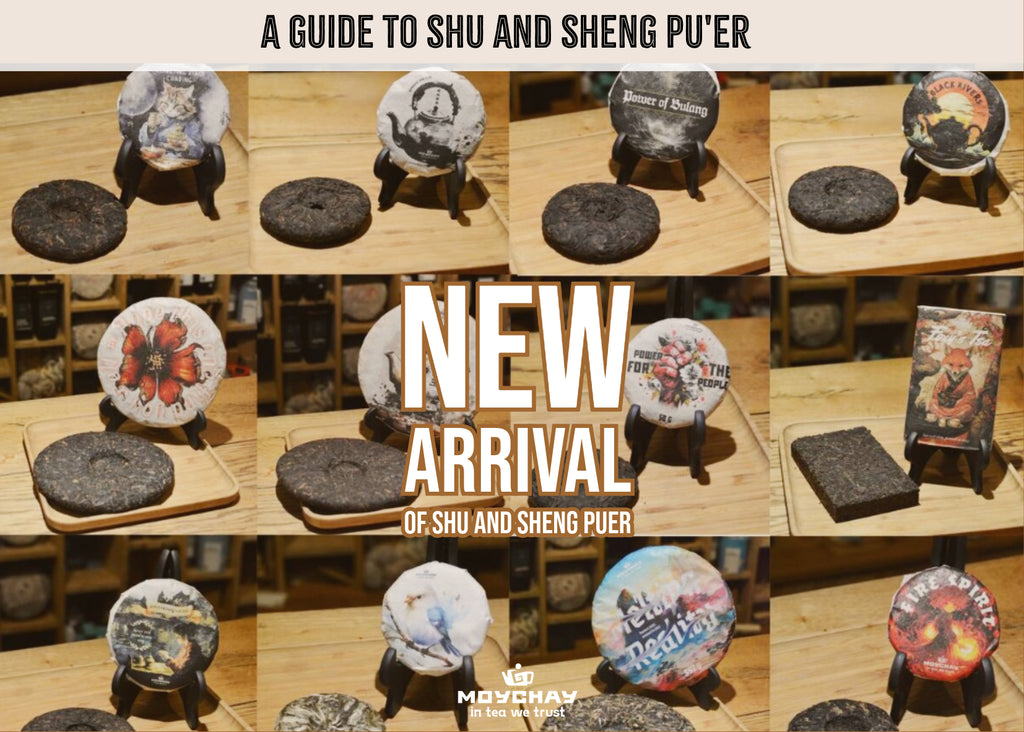 New arrival of Shu and Sheng puers