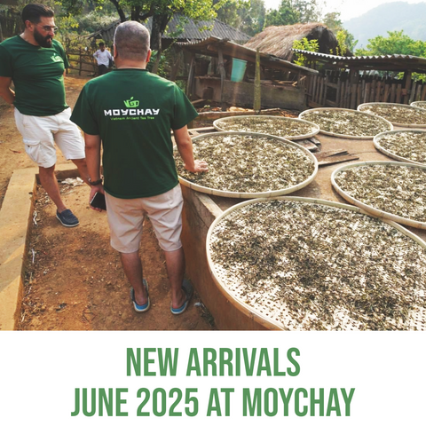 🌿 New Arrivals June 2025