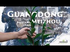 Guangdong. Meizhou. Baxiang Shan.