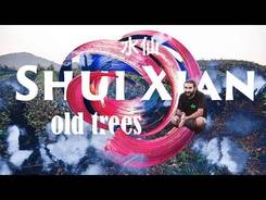 Wuyishan. A note about old Shui Xian tea bushes.