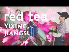 Jiangsu. Yixing. Red Tea Plantations.