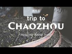 Famous Dancong Oolong tea. Journey to Chaozhou.