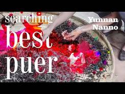 Yunnan. Nannoushan Mountain. In Search of the Best Puer. Part 2