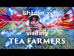 Visiting tea farmers. Shanlinxi. Taiwan.