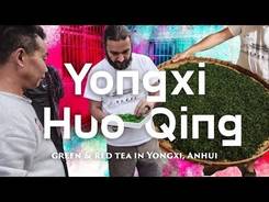Green and red tea from Yongxi, Anhui Province. Yongxi Huo Qing.