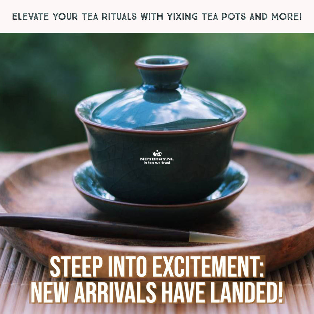 Steep into Excitement: New Arrivals Have Landed!