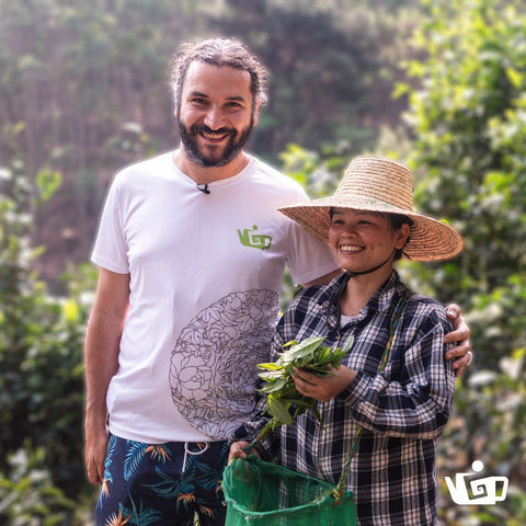 What is Organic Tea?