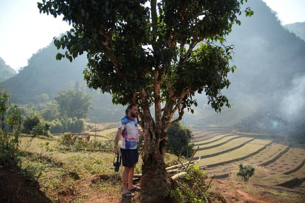 A Journey Through the Flavors of Vietnam and Thailand: Our Exclusive Tea Production