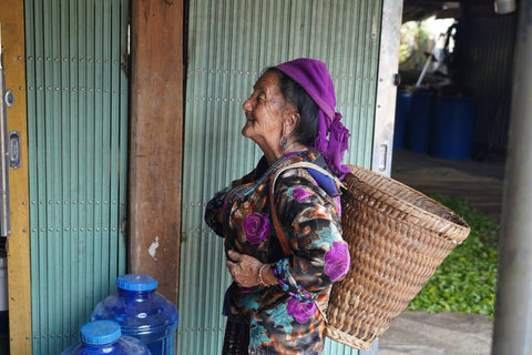 Tea Forest Project Teas