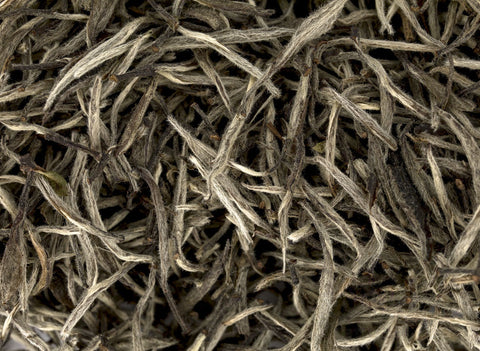 Zhou Li Bai Hao Yin Zhen