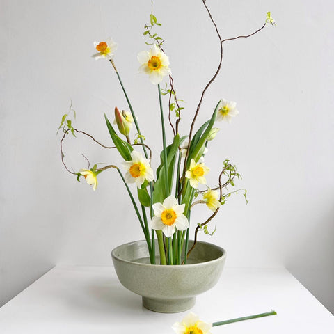 Ikebana- und Teezeremonie-Workshop (Verkostung) | 25. Januar | 11:30
