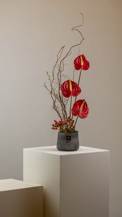 Ikebana & Tea Ceremony (tasting) Workshop | 21 December | 11:30