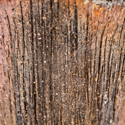Wood-Fired Dehua Tree-Pattern Cup # 94960