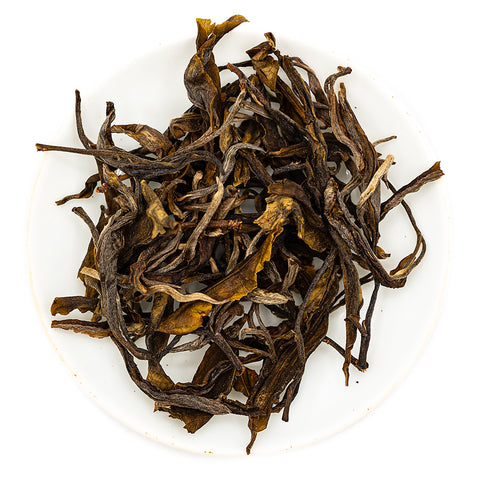 Jingmai Forest Single-Tree Ancient Sheng Pu-erh (2024)