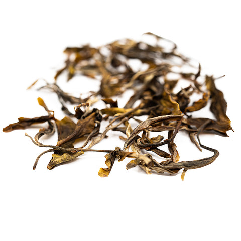 Jingmai Forest Single-Tree Ancient Sheng Pu-erh (2024)