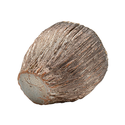 Woodfired Dehua Bark Teacup # 95785, 85 ml