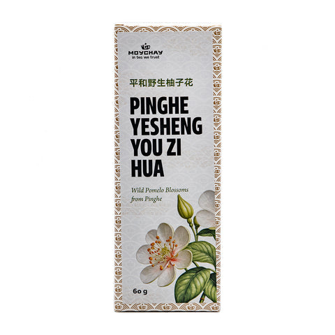 Wild Pomelo Blossoms from Pinghe (Pinghe Yesheng You Zi Hua)