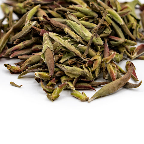 Purple Bud Tea from Lincang  (Zi Ya Cha Lincang)