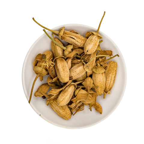 Wild Pomelo Blossoms from Pinghe (Pinghe Yesheng You Zi Hua)