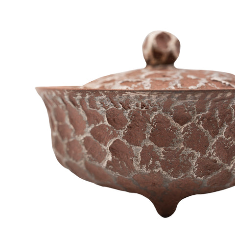 Gaiwan en argile rouge avec motif météore argenté # 94419