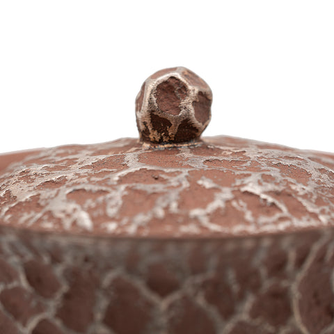 Gaiwan en argile rouge avec motif météore argenté # 94419