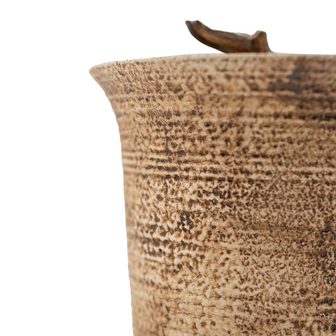 Gaiwan avec couvercle en corne d'argent orné d'un dragon # 94409