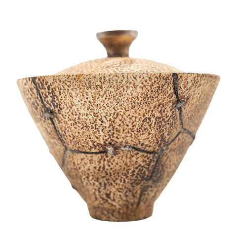 Gaiwan avec couvercle couleur argent martelé # 94411