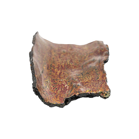 Lacquered Wood Bark Chahe Assortment # 95059