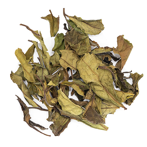 Golden Lily White Tea (2025) 25 g