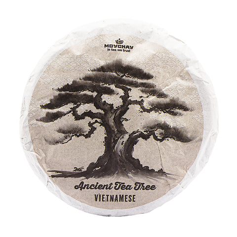 Vietnamese Ancient Tree Sheng Puer (2024) 100 g